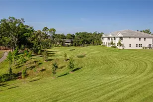 1929 Hillsong Ter, Palm Harbor, FL 34683 - Photo 38