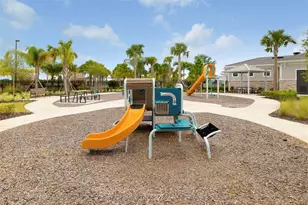 12338 Violet Jasper Dr, Parrish, FL 34219 - Photo 84