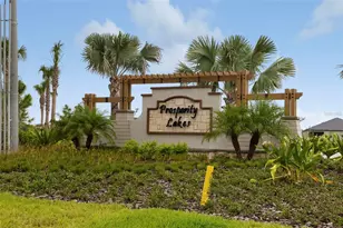 12338 Violet Jasper Dr, Parrish, FL 34219 - Photo 56