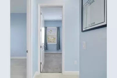 12338 Violet Jasper Drive, Parrish, FL 34219 - Photo 36