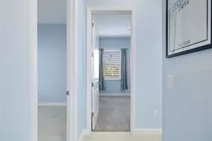 12338 Violet Jasper Dr, Parrish, FL 34219 - Photo 36