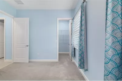 12338 Violet Jasper Drive, Parrish, FL 34219 - Photo 42