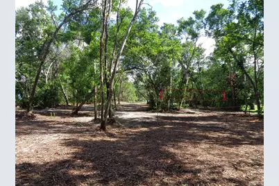 8007 Chaucer Drive, Weeki Wachee, FL 34607 - Photo 4