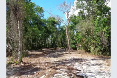 8007 Chaucer Drive, Weeki Wachee, FL 34607 - Photo 2