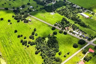 951 State Road 64 E, Wauchula, FL 33873 - Photo 58