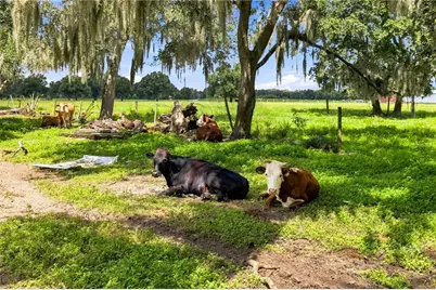 951 State Road 64 E, Wauchula, FL 33873 - Photo 40