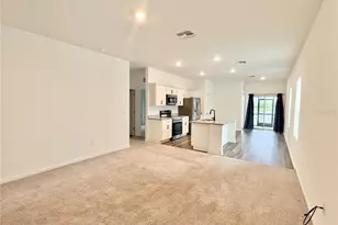 10451 Ladybug Cv, Parrish, FL 34219 - Photo 6