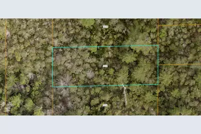 Evelyn (Paper) Street, Deltona, FL 32738 - Photo 1