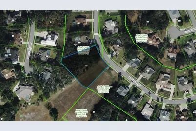 Bascomb Lane, Port Richey, FL 34667 - Photo 1