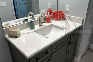 4262 Golden Crk Ter, Parrish, FL 34219 - Photo 42
