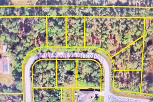 Tasco Lots 2 3 & 4 Dr, North Port, FL 34291 - Photo 1
