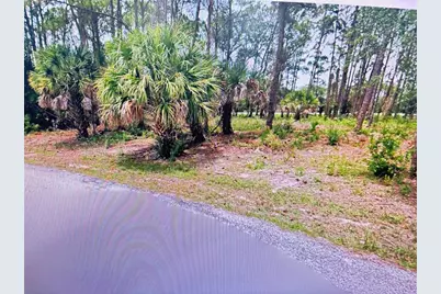 Tasco Lots 2,3, & 4 Drive, North Port, FL 34291 - Photo 4