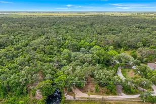 25640 State Road 70 E, Myakka City, FL 34251 - Photo 12