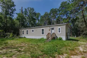23778 NE 113th Ave, Fort Mc Coy, FL 32134 - Photo 2