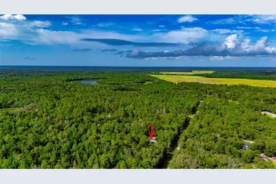 23778 NE 113th Avenue, Fort Mc Coy, FL 32134 - Photo 22