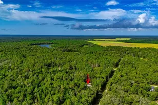 23778 NE 113th Ave, Fort Mc Coy, FL 32134 - Photo 22