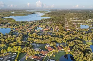 2420 Wilderness Blvd W, Parrish, FL 34219 - Photo 60