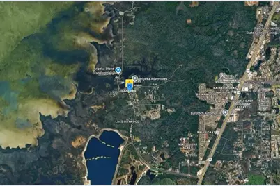 18905 Aripeka Road, Hudson, FL 34667 - Photo 4
