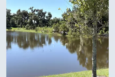 14449 Hammock Oak Street, Parrish, FL 34219 - Photo 58
