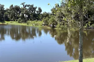 14449 Hammock Oak St, Parrish, FL 34219 - Photo 58
