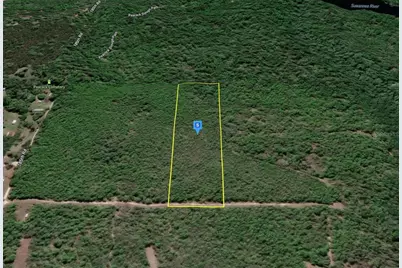 18000 185th Road, Live Oak, FL 32060 - Photo 2