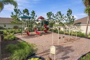 17343 Harvest Moon Way, Bradenton, FL 34211 - Photo 48