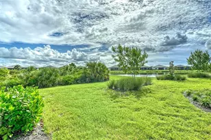 6036 Silver Grass Ct, Nokomis, FL 34275 - Photo 38