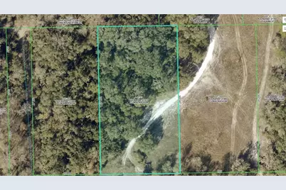 33099 Coral Rock Drive, Webster, FL 33597 - Photo 1