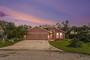 3905 Cardiff Pl, Parrish, FL 34219 - Photo 1