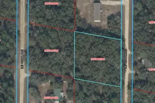 NE 139th St, Williston, FL 32696 - Photo 1