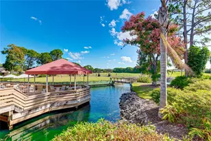 5610 Sheffield Greene Cir, Sarasota, FL 34235 - Photo 52
