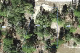 6648 N Sand Dr, Citrus Springs, FL 34433 - Photo 1