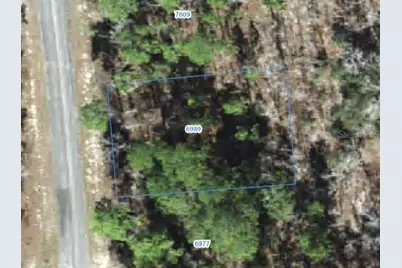 6989 N Foxdale Drive, Citrus Springs, FL 34434 - Photo 1