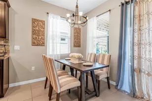 13225 Waterleaf Garden Cir, Riverview, FL 33579 - Photo 16