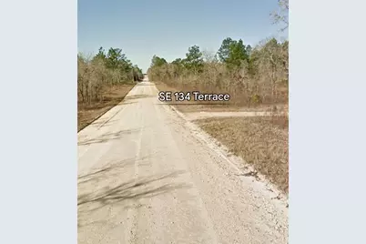 Se 23rd Place, Morriston, FL 32668 - Photo 4