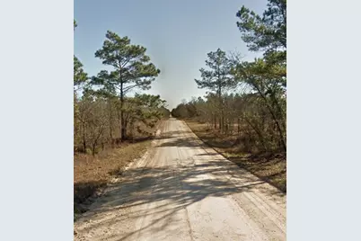 Se 23rd Place, Morriston, FL 32668 - Photo 2