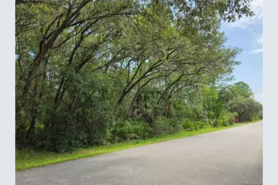 2659 S Bolton Avenue, Homosassa, FL 34448 - Photo 10