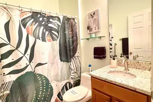 24684 Rio Villa Lakes Cir, Punta Gorda, FL 33950 - Photo 38