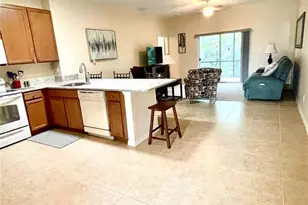 24684 Rio Villa Lakes Cir, Punta Gorda, FL 33950 - Photo 22