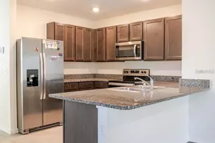 10945 Trailing Vine Dr, Tampa, FL 33610 - Photo 4