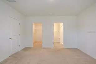 10945 Trailing Vine Dr, Tampa, FL 33610 - Photo 16