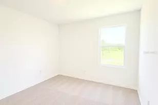 4312 Boxelder Ave, Parrish, FL 34219 - Photo 12