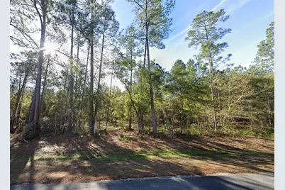 200 NW Scenic Lake Drive, Lake City, FL 32055 - Photo 2