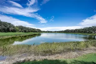 12207 Lavender Loop, Bradenton, FL 34212 - Photo 30