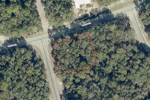 8011-1373-13 SW 148 St, Ocala, FL 34473 - Photo 1