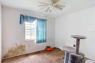 7331 Filbert Ln, Tampa, FL 33637 - Photo 22