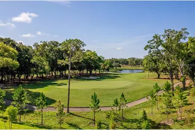 1558 Sandhill Court, Palm Harbor, FL 34683 - Photo 4