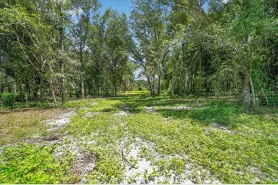 Verna Bethany Road, Myakka City, FL 34251 - Photo 8