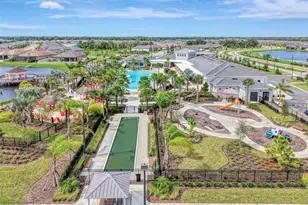 11854 Lilac Pearl Ln, Parrish, FL 34219 - Photo 80