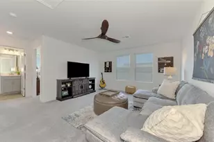 11854 Lilac Pearl Ln, Parrish, FL 34219 - Photo 46